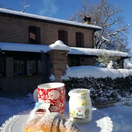 カメリーノ Il Castagneto Bed & Breakfast エクステリア 写真