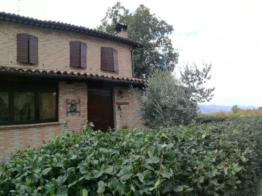カメリーノ Il Castagneto Bed & Breakfast エクステリア 写真